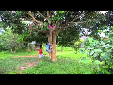 Chico mendes spiegato ai bambini