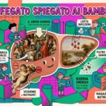 fegato