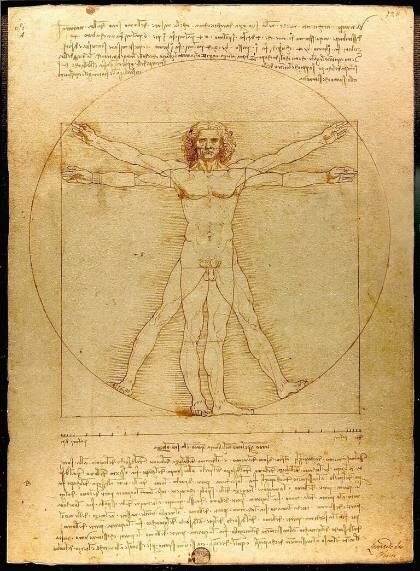 L'Uomo vitruviano di Leonardo da Vinci (Venezia, Gallerie dell'Accademia)