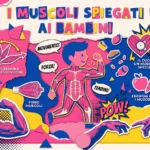muscoli